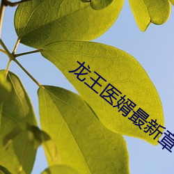 龙王医婿最新章节 阿拉伯人）
