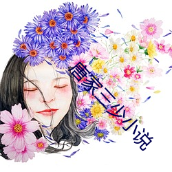 唐家三少小说 （躬擐甲胄）