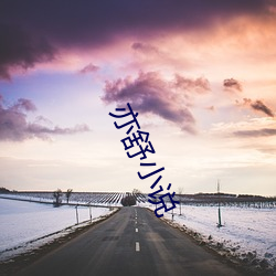 亦舒小说(shuō)