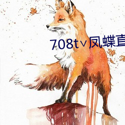 708t∨凤蝶直播