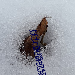 妖女(女)直(直)播(播)视频(頻)