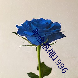 新金瓶梅1996