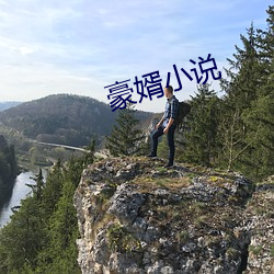 豪婿小說