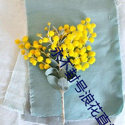 永不封号浪花直播466tv