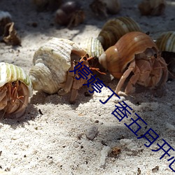 婷婷丁香五月开心