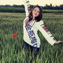 金瓶(píng)梅txt
