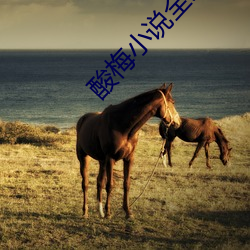 酸(suān)梅小说全(quán)文免费阅读(dú)