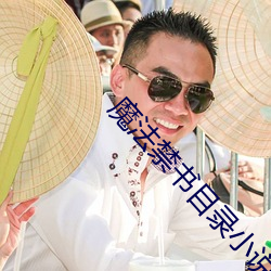 魔(mó)法禁(jìn)书(shū)目录小说