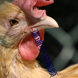 AG真人平台(中国)官方网站