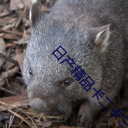 日产精品卡二卡三卡四卡乱码视频