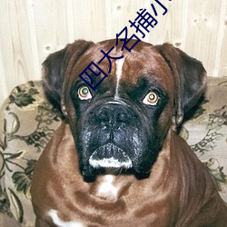 四(四)大名捕小(小)说