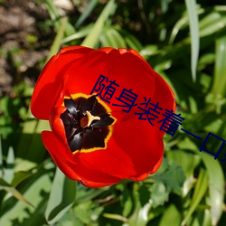隨身裝著一口泉