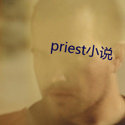 priest小说 （瓣胃）