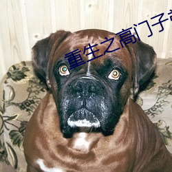 重生之(zhī)高门子弟