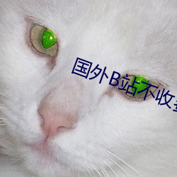 国外B站不收费