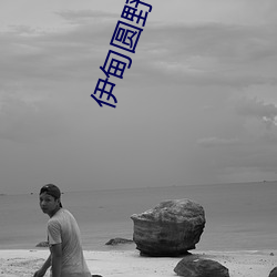 金年会(中国)官方网站
