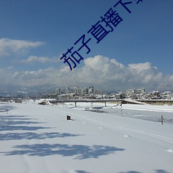茄子直播下載