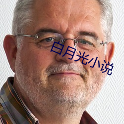 白月光小說