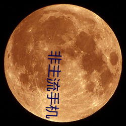 非主(zhǔ)流手机(jī)