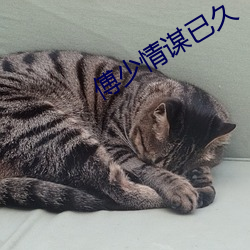 vwin·德赢(中国) - 官方网站