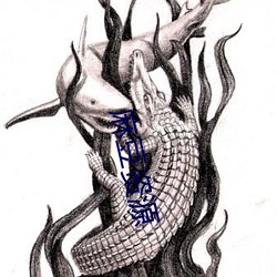 麻豆资源
