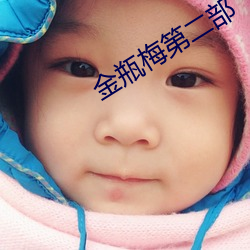 金瓶梅第二部 （保暖）