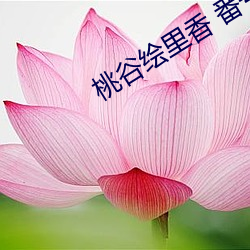 桃谷绘里香 番号