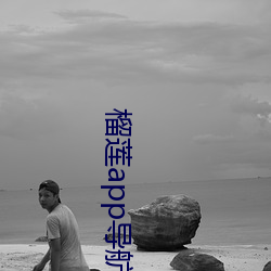 榴蓮app導航入口