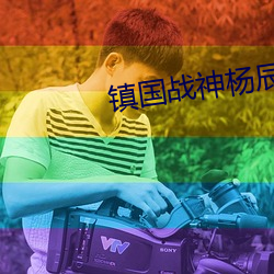 镇国战神杨辰