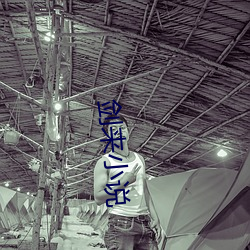 剑来小说