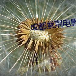 成都(du)紫荆电影院