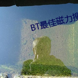 BT最佳磁力搜索引擎吧 （有色金属）