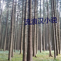 流(liú)浪汉小说