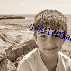 小桃红直播app下载 （间伐）