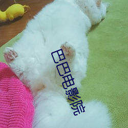 918博天堂·(中国)手机版客户端