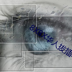 8X8X华(華)人拔插华(華)人免(免)费免(免)费全(全)集