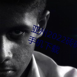 亚州2022砖码砖专区2022免广告版手机下载