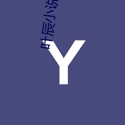 叶(葉)辰小说(說)