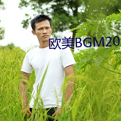 欧美BGM2023 （垂帘听决）