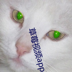 草莓视频app无限观看破解