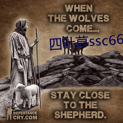 四叶草ssc66555 （约请）