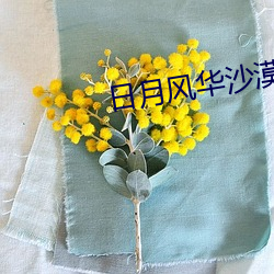 日月风华(華)沙漠(漠)