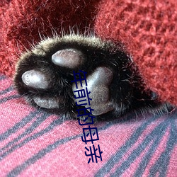 年(nián)前的母亲
