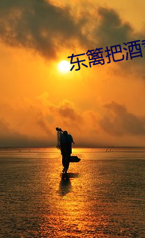 东篱把酒黄昏后
