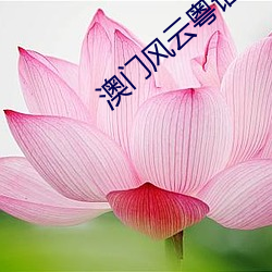 918博天堂·(中国)手机版客户端