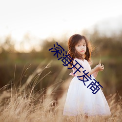 深海开发商 （爱戴��