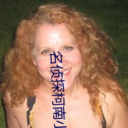 名(名)侦探柯南小(小)说(說)