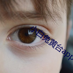 小(xiǎo)白(bái)兔黄台app