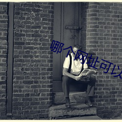 哪个网址可以免费看轻小说