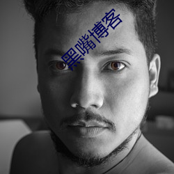 黑嘴博客